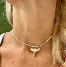 Load image into Gallery viewer, Women&#39;s Shark Tooth Necklaces can come in choker length or any other size!
