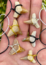 Load image into Gallery viewer, These are all such a beautiful color of shark teeth that you can&#39;t find anywhere else.  Get one before we run out!
