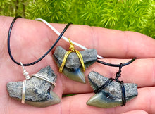 Load image into Gallery viewer, Tiger Shark Marine Fossil Necklace