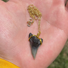 Load image into Gallery viewer, Fine Snaggletooth Shark Fossil Necklace: 14kt Gold or Sterling Silver

