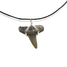 Load image into Gallery viewer, Lemon Shark Marine Fossil Necklace