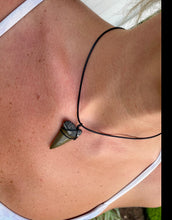 Load image into Gallery viewer, Mako Shark Marine Fossil Necklace
