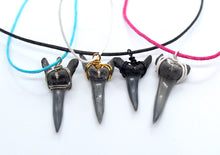 Load image into Gallery viewer, Sand Tiger shark teeth make beautiful necklaces with their sharp, slender appearance. 
