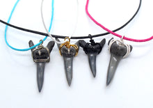 Load image into Gallery viewer, Sand Tiger shark teeth make beautiful necklaces with their sharp, slender appearance.