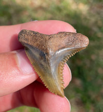 Load image into Gallery viewer, Salmon Snaggletooth Swim Trunks