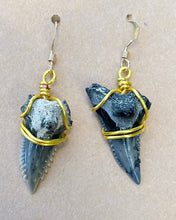 Load image into Gallery viewer, Fossilized Marine Dangle Earrings in 14kt Gold or Sterling Silver
