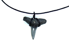 Load image into Gallery viewer, Choker Marine Fossil Necklace