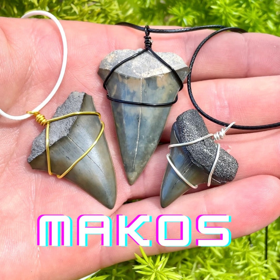 Beautiful Sharks store Tooth Pendant, (Mako) wire wrapped by Barb's Design