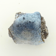 Load image into Gallery viewer, Pale Aqua Coral Geode
