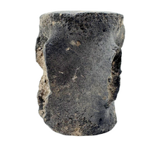 Load image into Gallery viewer, Authentic Whale Vertebra Fossil
