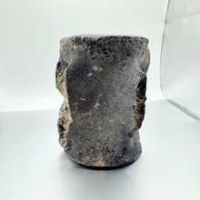 Load image into Gallery viewer, Authentic Whale Vertebra Fossil
