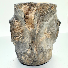 Load image into Gallery viewer, Authentic Whale Vertebra Fossil
