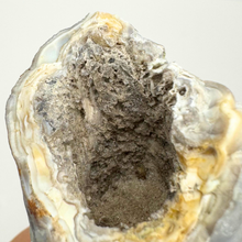 Load image into Gallery viewer, White Botryoidal Coral Geode
