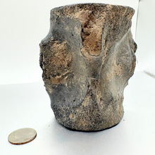 Load image into Gallery viewer, Authentic Whale Vertebra Fossil
