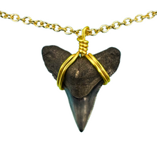 Load image into Gallery viewer, Dainty 14K Gold Filled Shark Tooth Necklace
