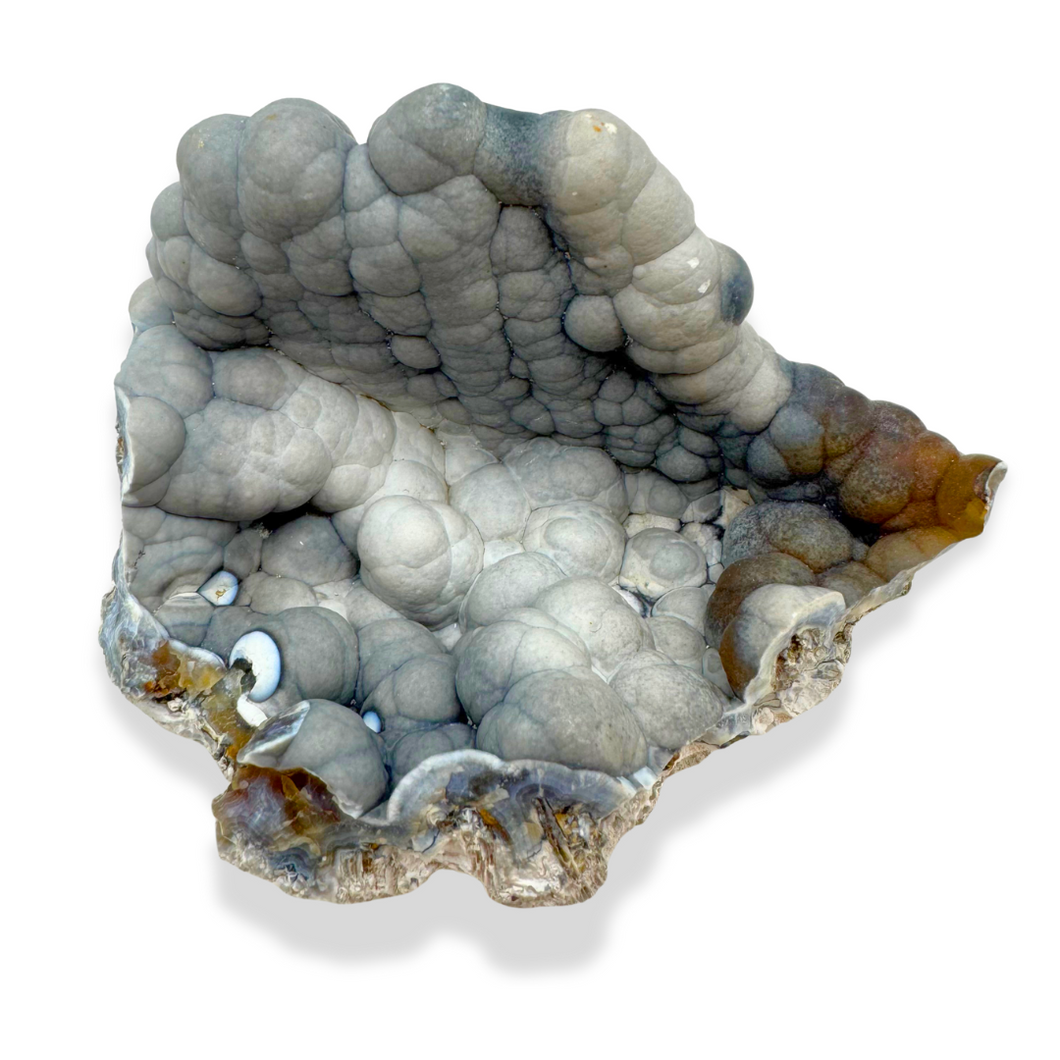 Grey & Maroon Botryoidal Coral Geode