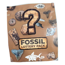 Load image into Gallery viewer, Mystery Fossil Lottery Pack

