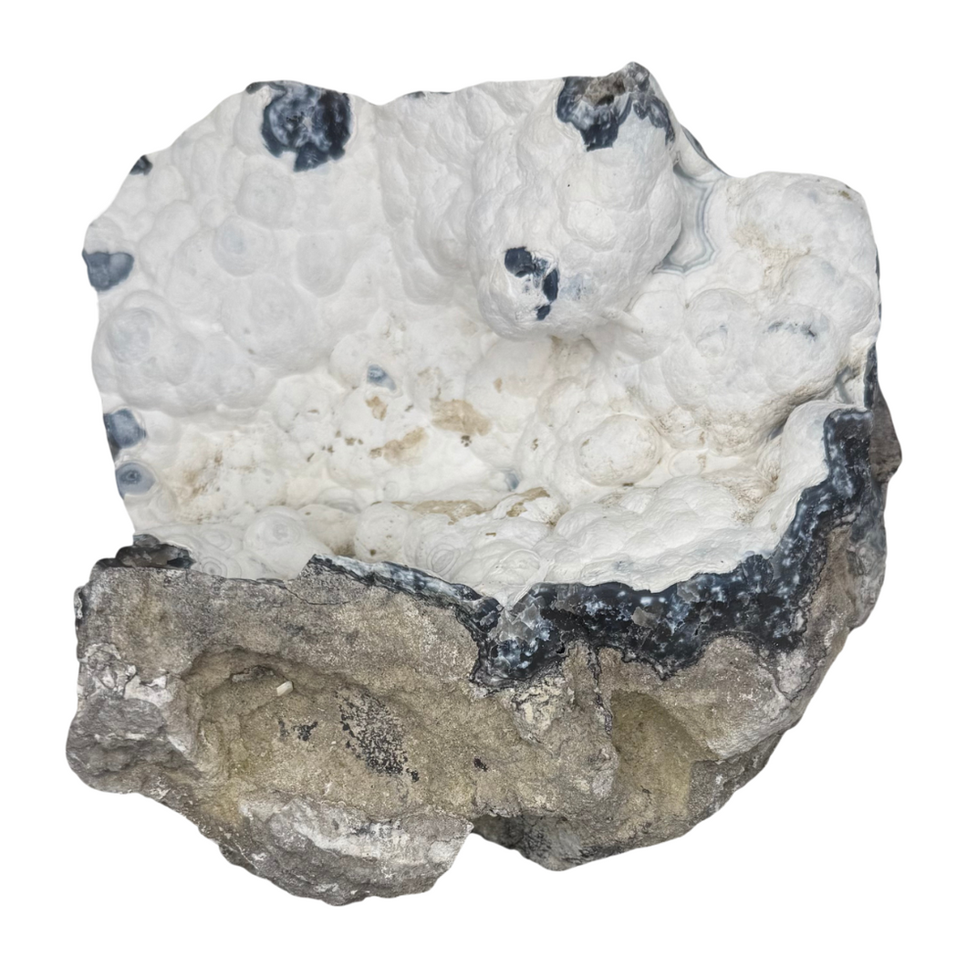 THICK White & Blue Agatized Coral Geode