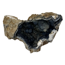 Load image into Gallery viewer, LARGE Dark Blue Agatized Coral Geode
