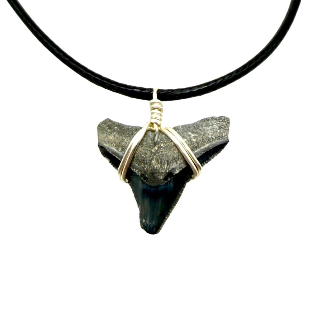 Shark Tooth Necklace for Men and Women Silver Shark Pendant