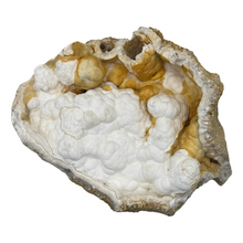 Load image into Gallery viewer, Large White &amp; Orange Agatized Coral Geode
