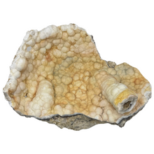 Load image into Gallery viewer, LARGE White &amp; Yellow Agatized Coral Geode
