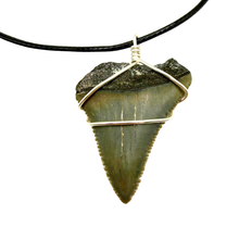 Load image into Gallery viewer, Shark tooth pendant on a black cord against a white background
