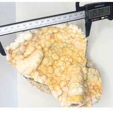 Load image into Gallery viewer, LARGE White &amp; Yellow Agatized Coral Geode
