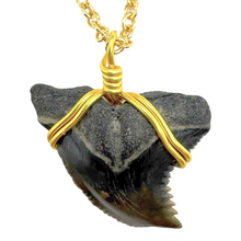 Load image into Gallery viewer, Rare Snaggletooth Shark Fossil Necklace – 14K Gold Pendant
