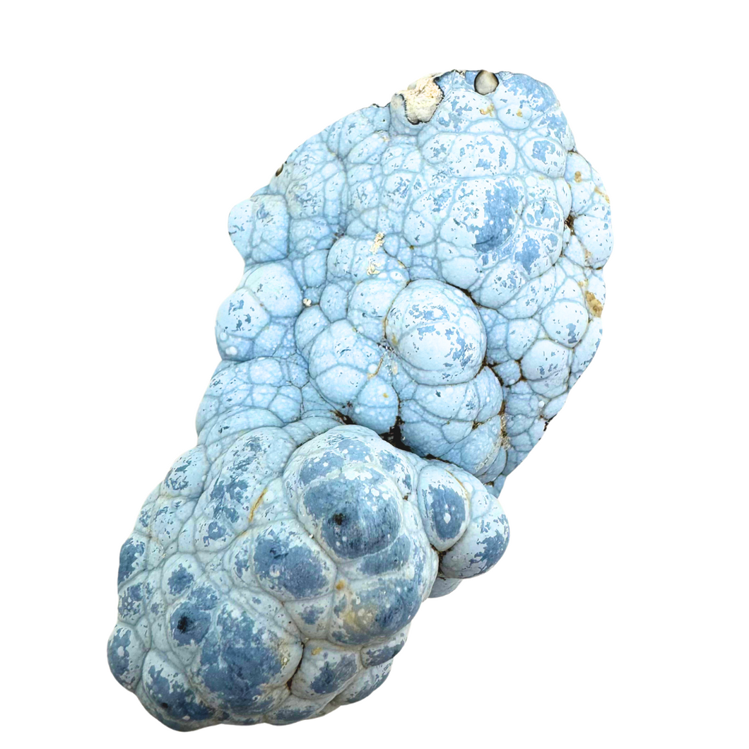 Sky Blue Botryoidal Agate Coral Geode