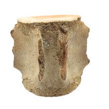 Load image into Gallery viewer, Authentic Whale Vertebra Fossil (Light Brown)
