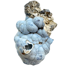 Load image into Gallery viewer, Sky Blue Botryoidal Agate Coral Geode
