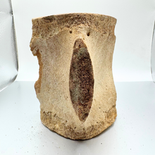 Load image into Gallery viewer, Authentic Whale Vertebra Fossil (Tan)
