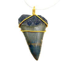 Load image into Gallery viewer, Fossilized shark tooth pendant with yellow wire wrapping on a white background
