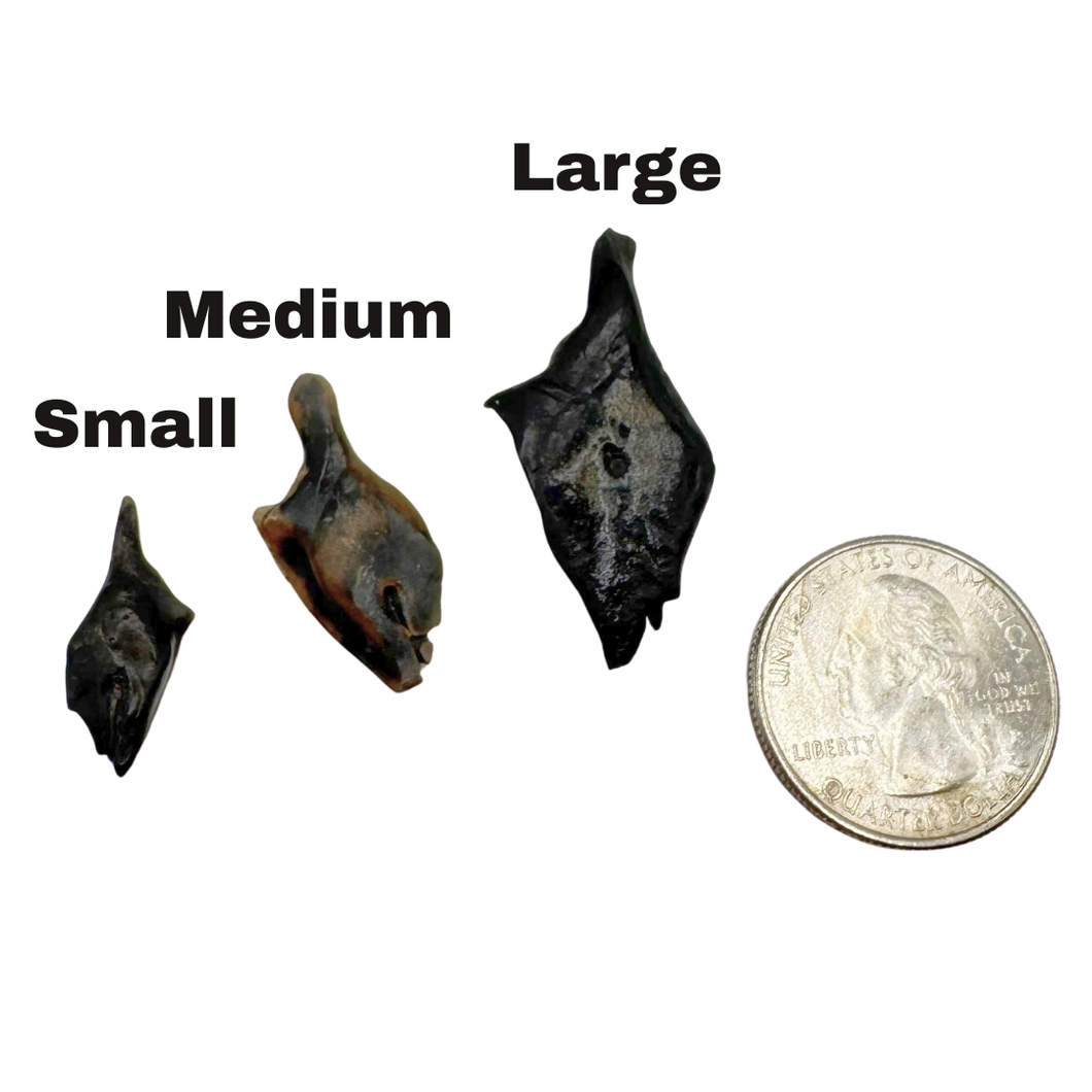 Pick Your Gar Scale