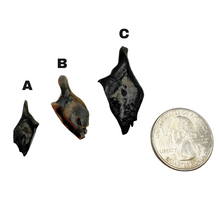 Load image into Gallery viewer, Pick Your Gar Scale
