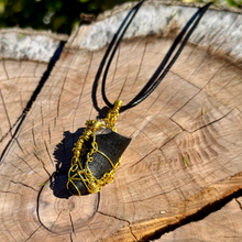 Load image into Gallery viewer, REAL Alligator Fossil Necklace Pendant Gold Wrapped
