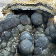 Load image into Gallery viewer, LARGE Dark Blue Agatized Coral Geode
