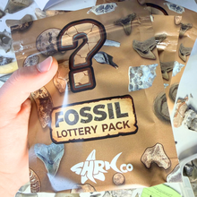 Load image into Gallery viewer, Mystery Fossil Lottery Pack
