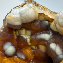 Load image into Gallery viewer, Amber &amp; Orange Agatized Coral Geode
