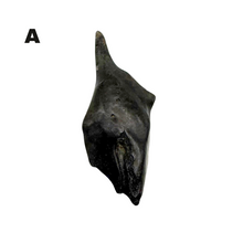 Load image into Gallery viewer, Pick Your Gar Scale
