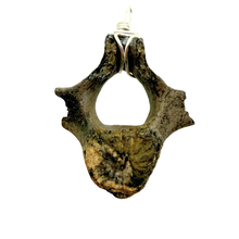Load image into Gallery viewer, Sterling Silver Dolphin Fossil Vertebrae Pendant Necklace - Oceanic Fossil
