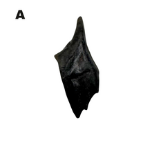 Load image into Gallery viewer, Pick Your Gar Scale

