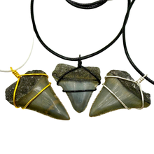 Load image into Gallery viewer, Three fossil pendants on black cords with gold, silver, and white wire wrapping against a white background.

