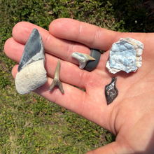 Load image into Gallery viewer, Mystery Fossil Lottery Pack
