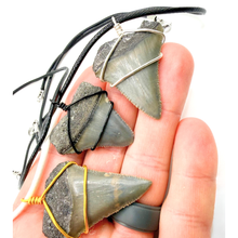 Load image into Gallery viewer, Three shark tooth pendants on straps held in a hand against a white background
