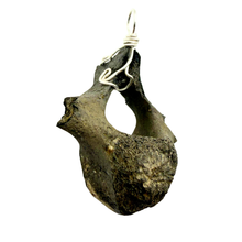 Load image into Gallery viewer, Sterling Silver Dolphin Fossil Vertebrae Pendant Necklace - Oceanic Fossil
