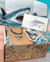 Load image into Gallery viewer, Fossil Jewelry Mini Box
