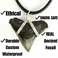 Load image into Gallery viewer, Classic Bull Shark Necklace
