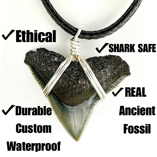 Classic Bull Shark Necklace